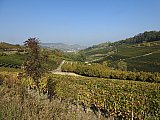langhe 2021