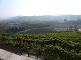 langhe 2021