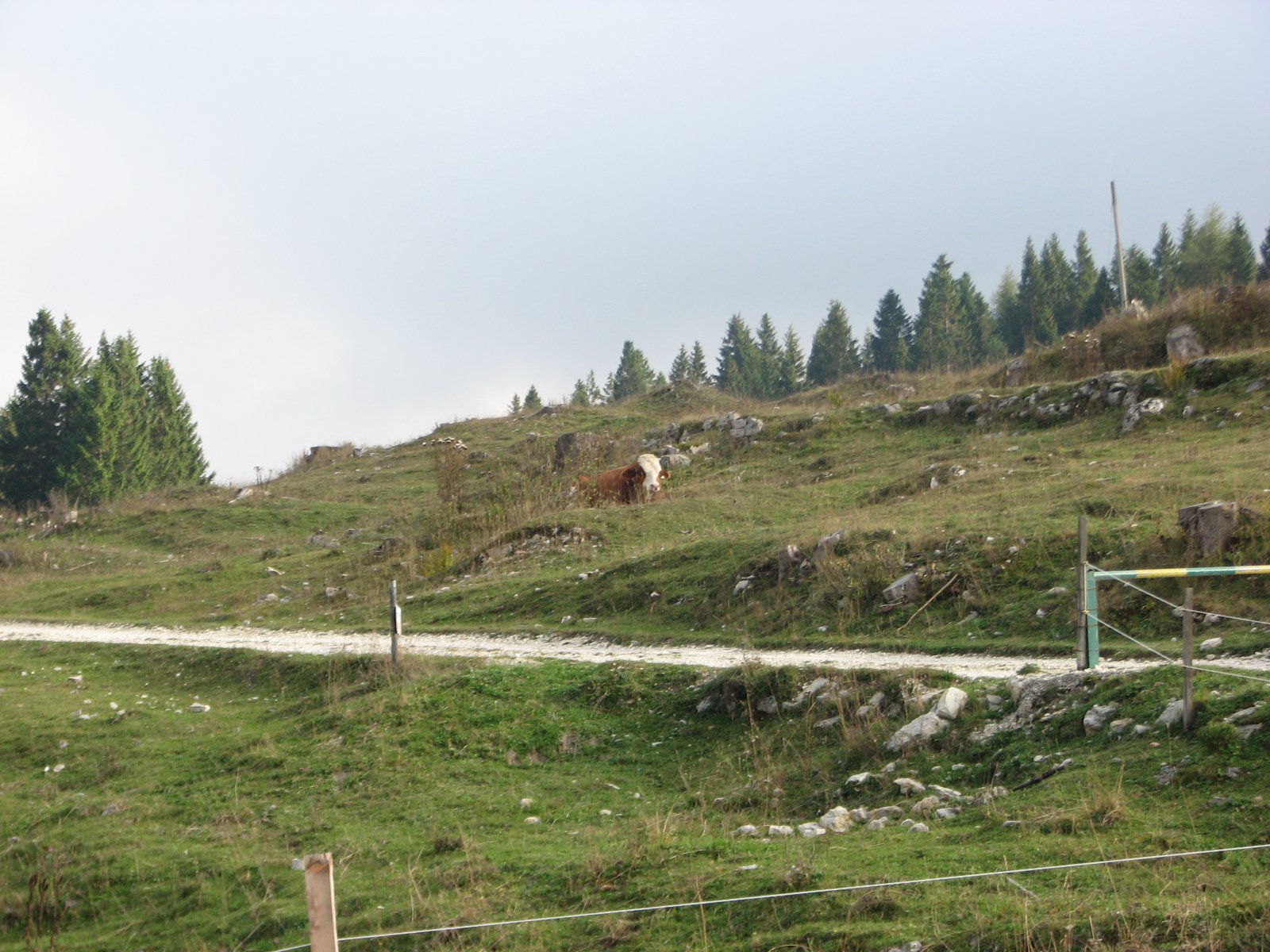 2018-09-16 5° motogiro
